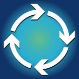 Organizational Survey Processes