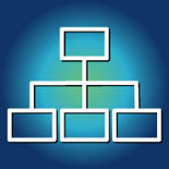 Leadership Development and Coaching